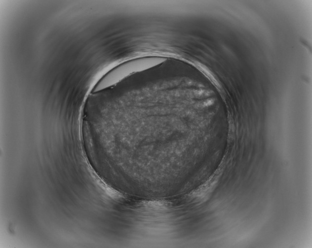 X0000096711246200803041335