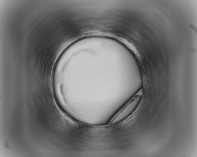 X0000096711247200803041335