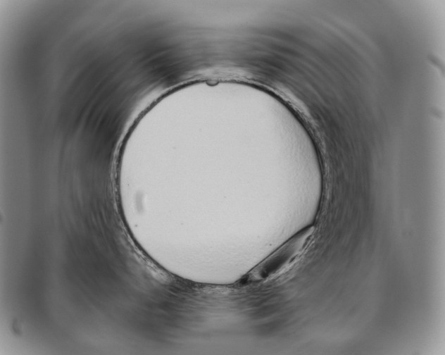 X0000096711248200803041335