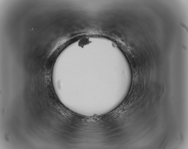 X0000096711255200803041334