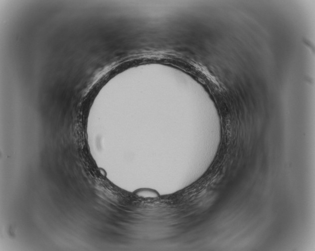 X0000096711256200803041334