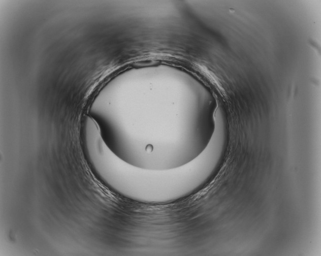 X0000096711260200803041334