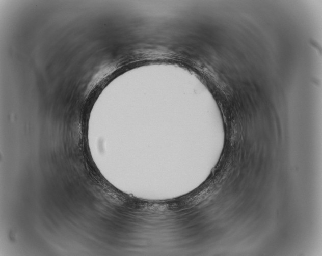 X0000096711261200803041334