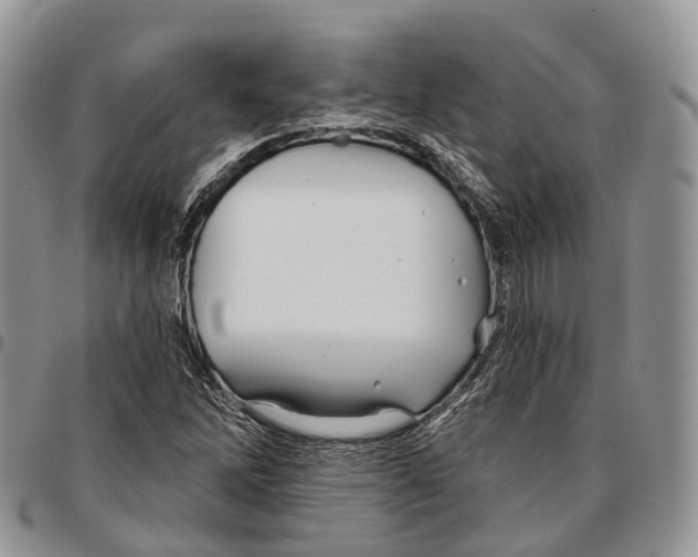 X0000096711262200803041334