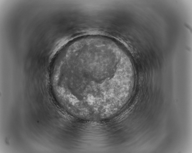 X0000096711263200803041334