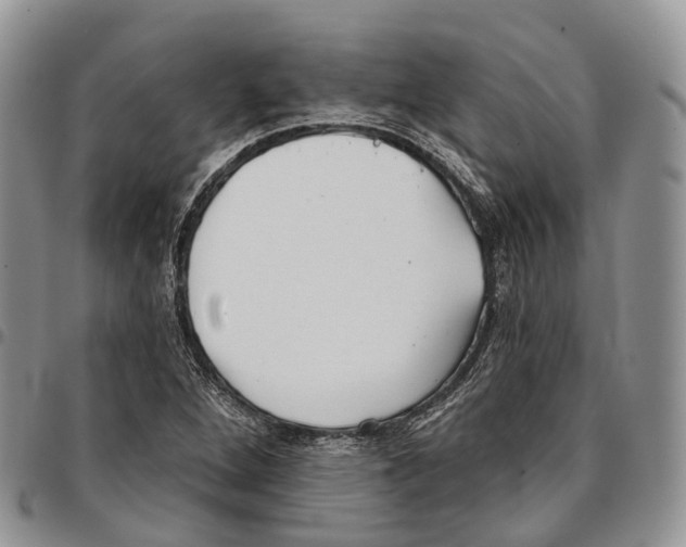 X0000096711264200803041334