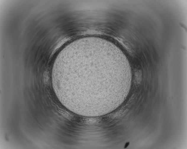 X0000096711266200803041334