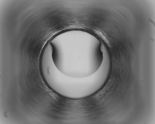 X0000096711268200803041334