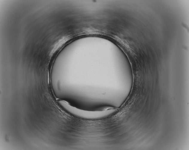 X0000096711269200803041334