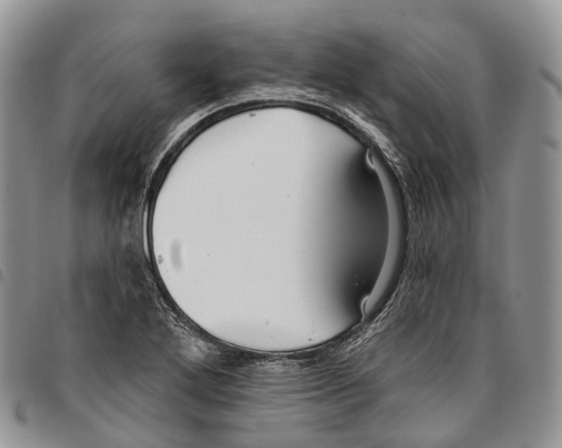 X0000096711272200803041334