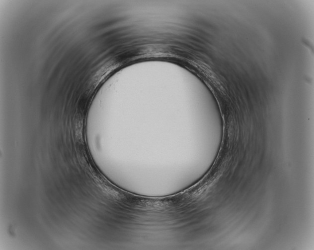 X0000096711273200803041334