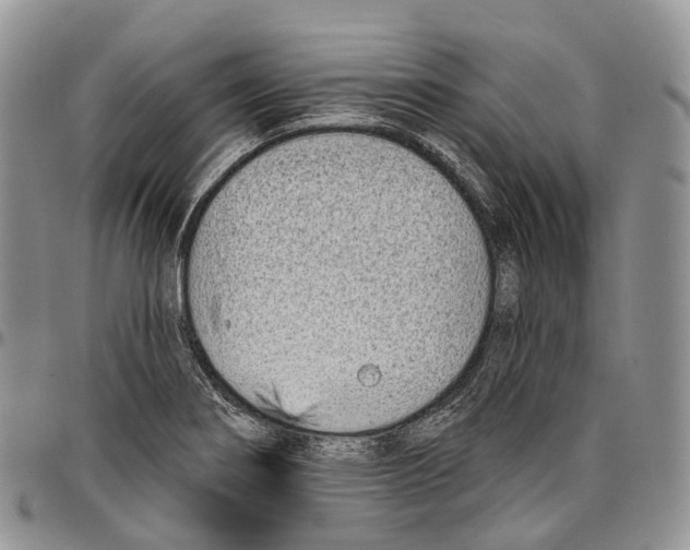 X0000096711274200803041334