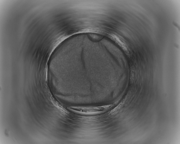 X0000096711276200803041334