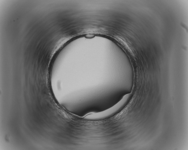 X0000096711277200803041334