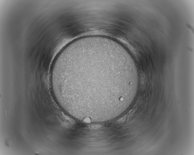 X0000096711278200803041334