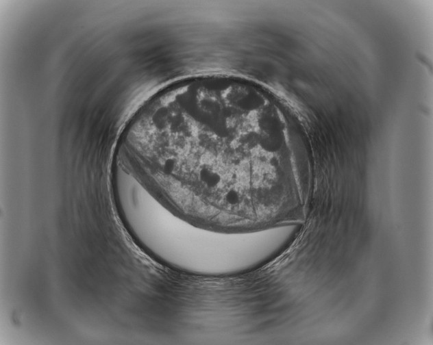 X0000096711279200803041334