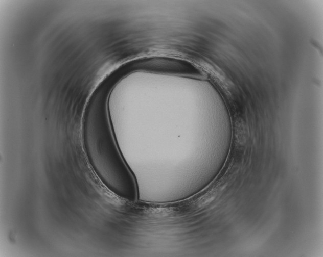 X0000096711280200803041334