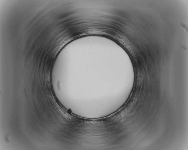 X0000096711281200803041334