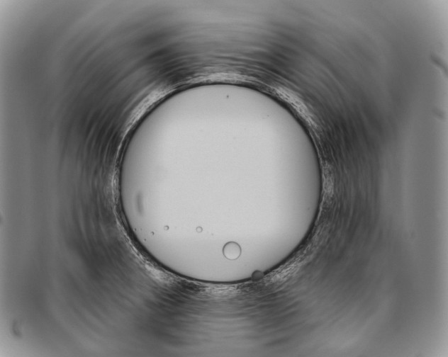 X0000096711282200803041334