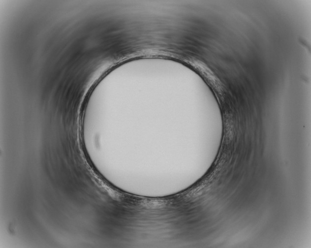 X0000096711286200803041334