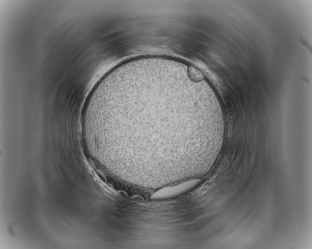 X0000096711287200803041334