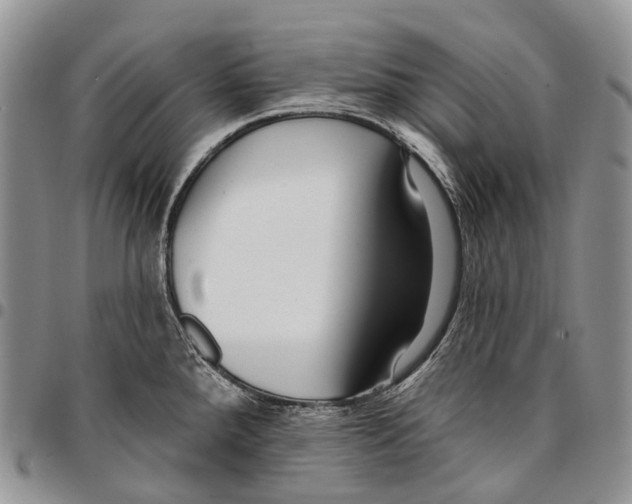 X0000096711288200803041334