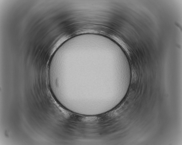 X0000096711290200803041333