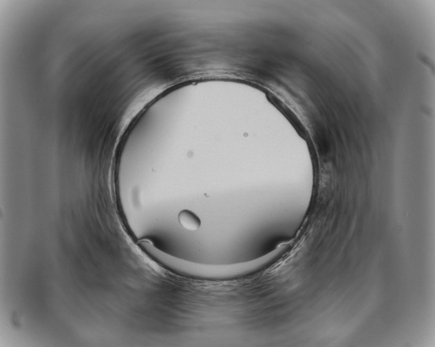 X0000096711293200803041333