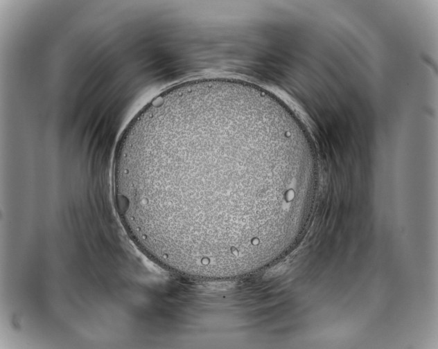 X0000096711294200803041333