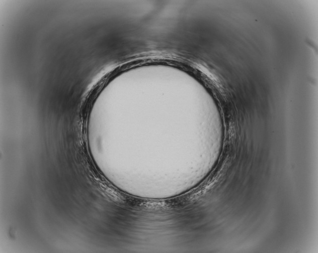 X0000096711310200803041333