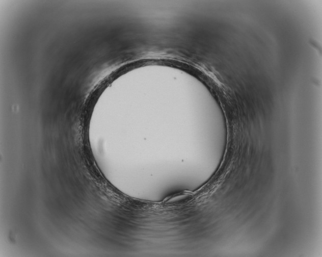 X0000096711311200803041333