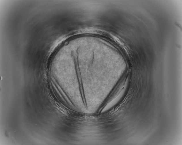 X0000096711312200803041333