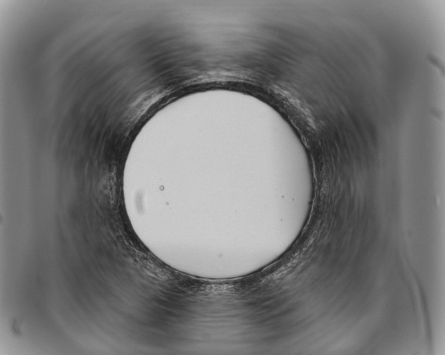 X0000096711313200803041333