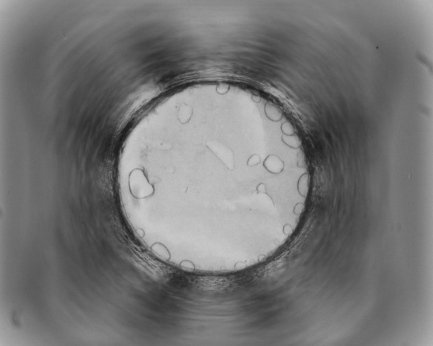 X0000096711314200803041333