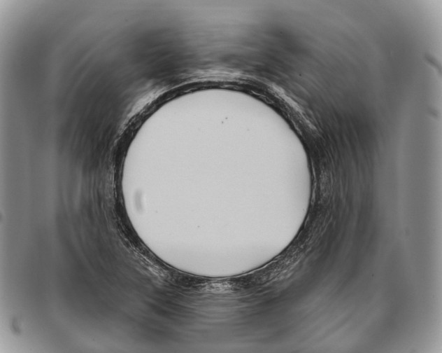 X0000096711315200803041333