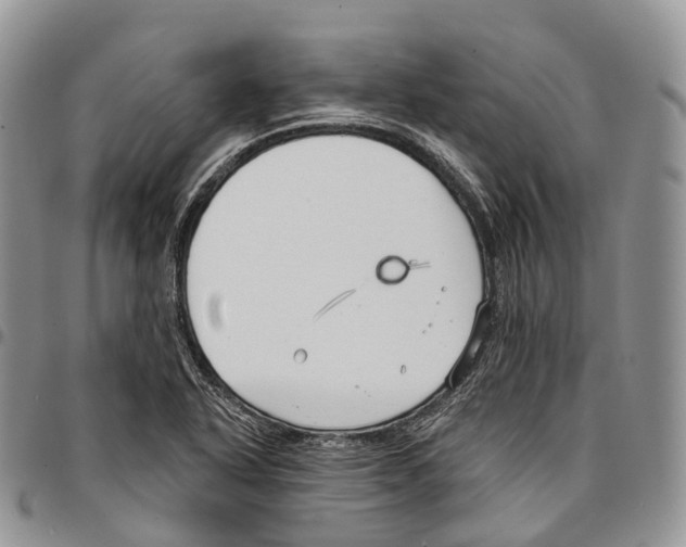 X0000096711318200803041333