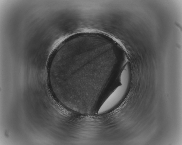 X0000096711319200803041333