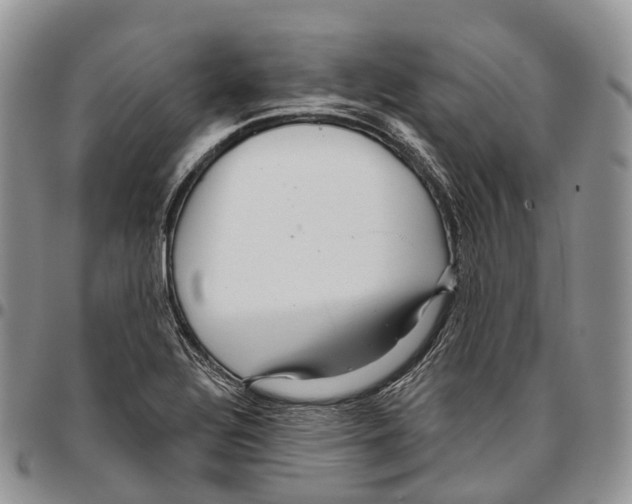 X0000096711320200803041333