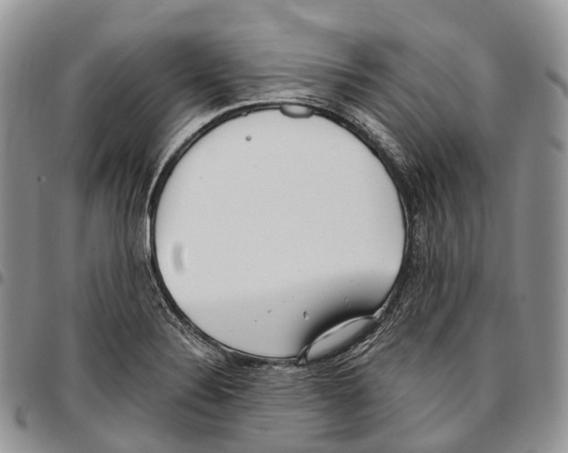 X0000096711324200803041333