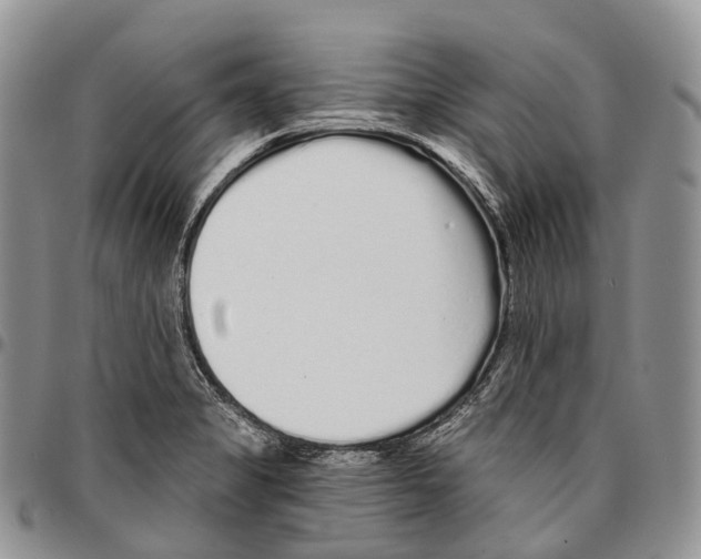 X0000096711325200803041333