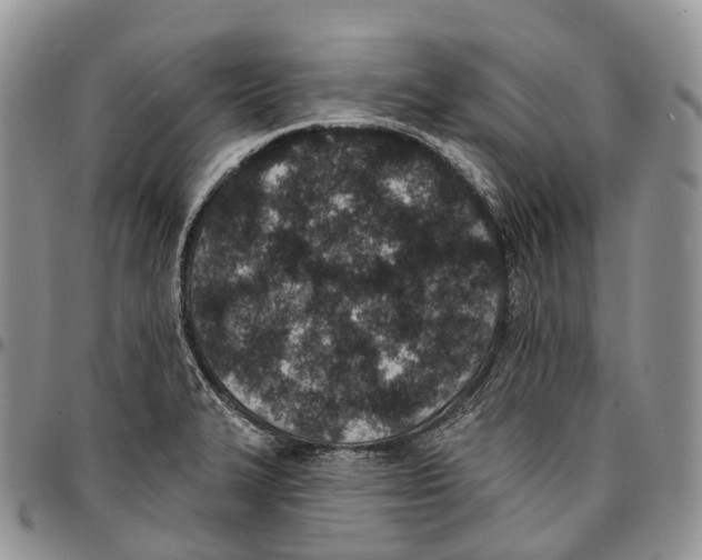 X0000096711327200803041333