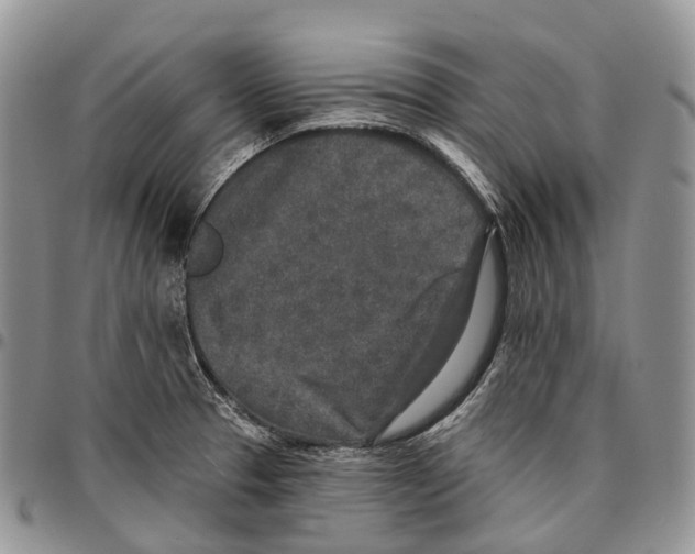 X0000096711329200803041333