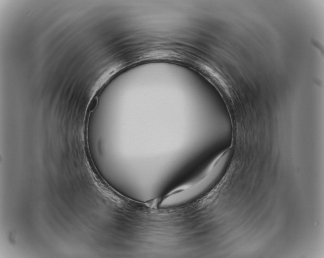 X0000096711330200803041333