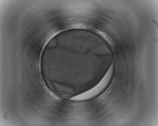 X0000096711331200803041333