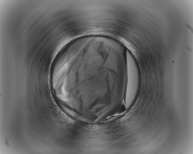 X0000096711334200803041333