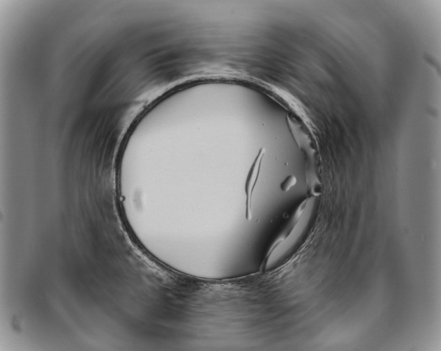 X0000096711335200803041333