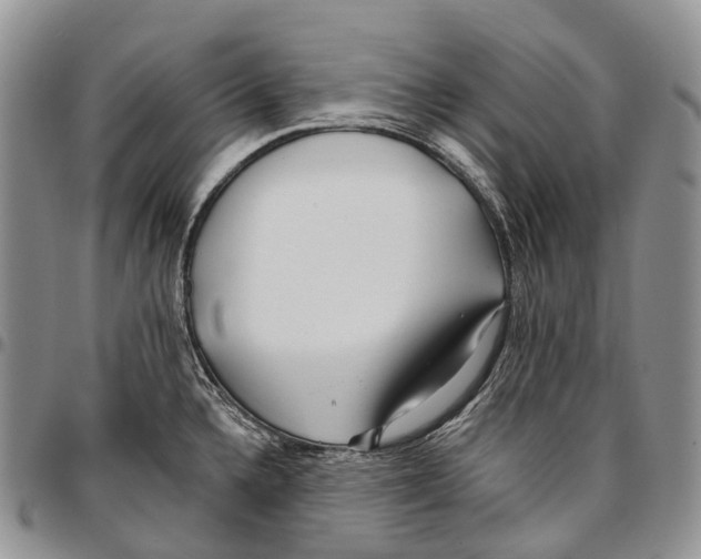 X0000096711336200803041333