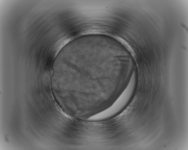 X0000096711337200803041333