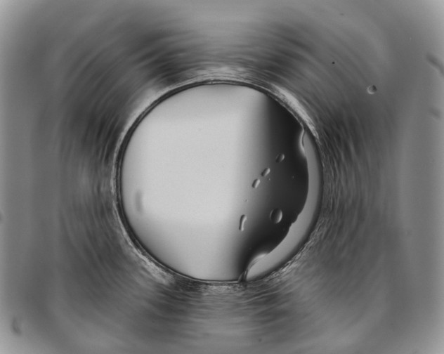 X0000096711339200803041333