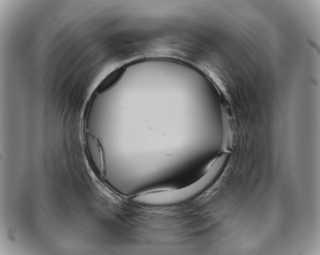 X0000096711342200803041333